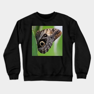 Schmetterling Crewneck Sweatshirt